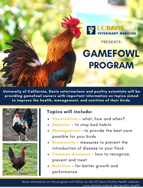 gamefowl medical care